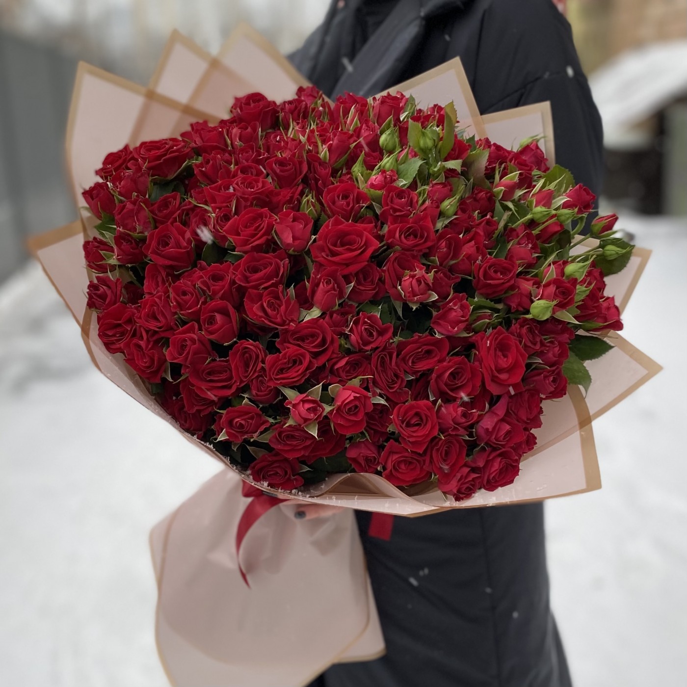 51 кустовая красная роза Рубикон 50 см